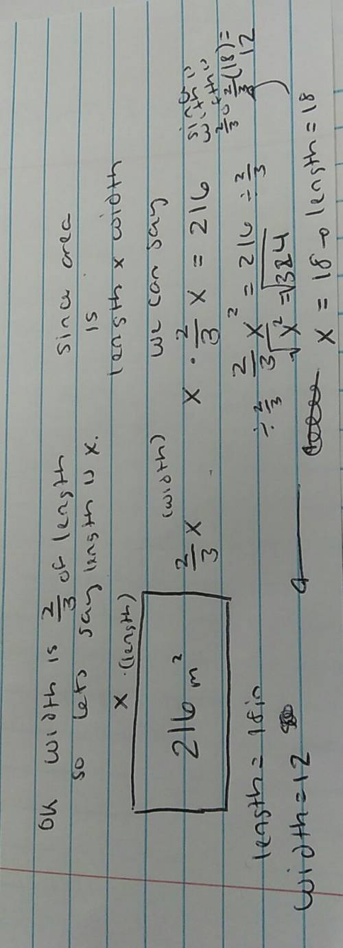 The width of a rectangle is two-thirds if it’s length, and it’s area is 216 square matters. what is 