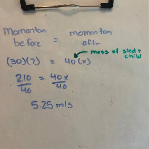 A 30 ky child running at 7 m/s jumps onto a 10 kg sled which was initially at rest. What will be the