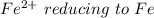 Fe^{2+} \ reducing \  to \ Fe