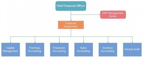 How is the IT function organized in your school or place of employment? Create an organization chart