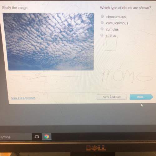 Study the image which type of clouds are shown?  cirrocumulus cumulonimbus c
