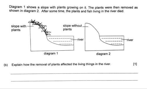 What is the explanation to this question?  you!