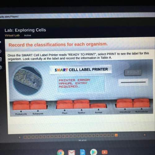 Once the smart cell label printer reads "ready to print", select print to see the label for or
