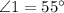 \angle 1=55^{\circ}