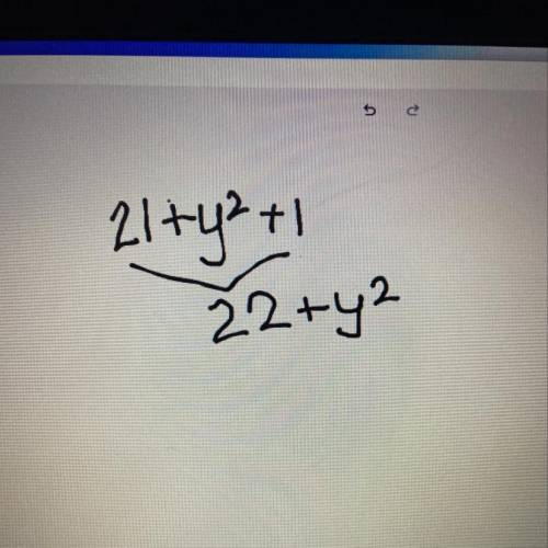 Can someone pls answer this question for me: 21+ y² + 1