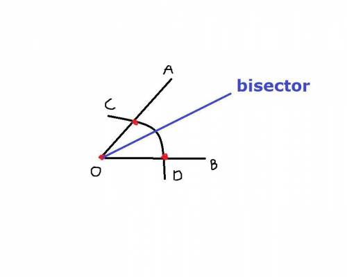 Is there a way someone can draw or “construct” the bisector of the angle shown?