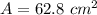 A=62.8 \ cm^2