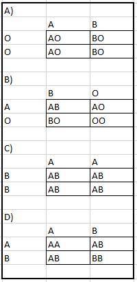 Using the Punnett squares, determine the possible blood types of the offspring and the ratio of phen