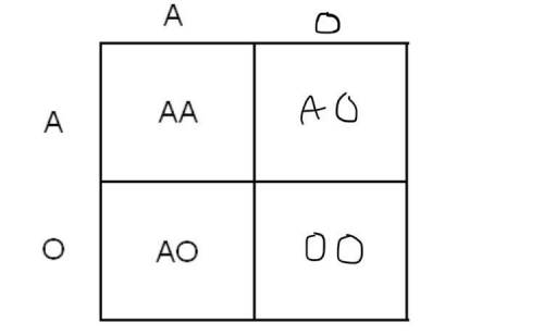 Show a Punnett square to demonstrate how two individuals with Type A blood can have a child with Typ
