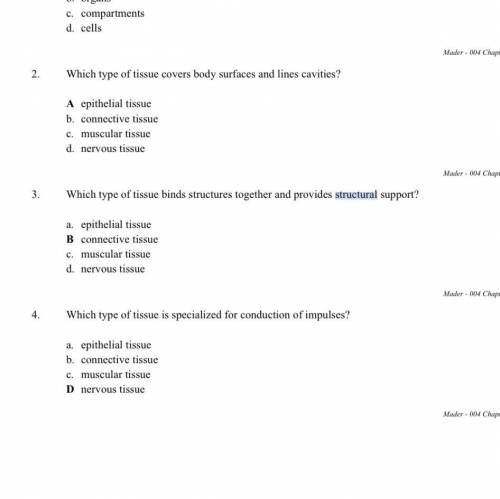 Which type of cell lines the cavities and surfaces of blood vessels and organs? O neuron O epithelia