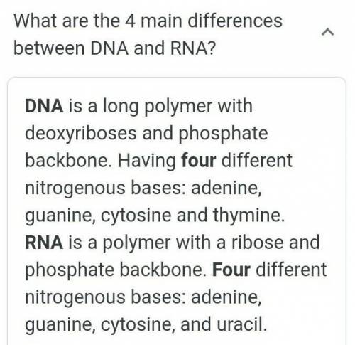 RNA is different from DNA because......