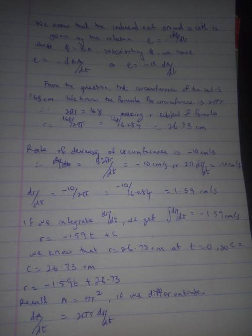 A circular loop of flexible iron wire has an initial circumference of 168 cm, but its circumference