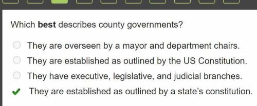 What best describes county governments?