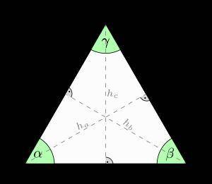Find the height of an equilateral triangle whose side measures 56 cm.