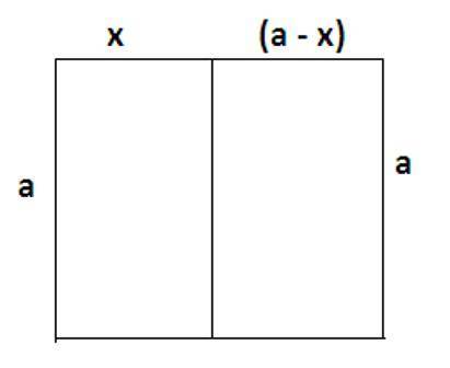 Esther cut a square paper vertically to make two rectangle pieces. Each rectangle had a perimeter of