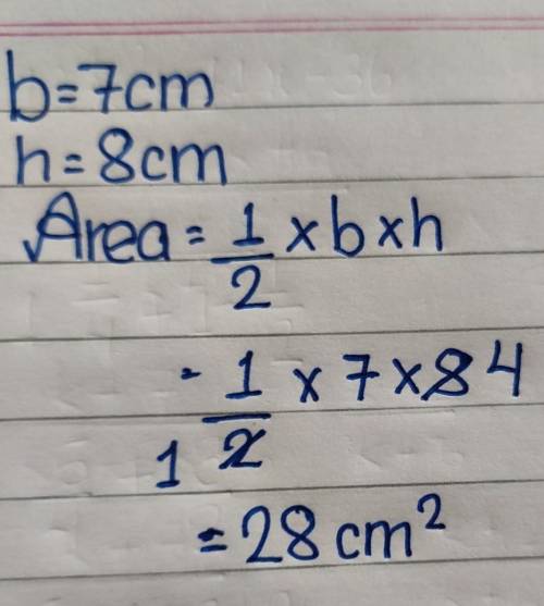 What is the area of the triangle