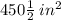 450\frac{1}{2} \:in^2