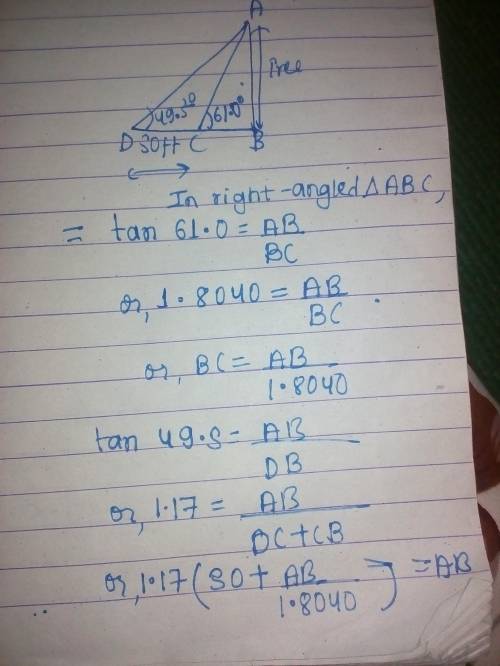 Find the height of the tree. Show steps