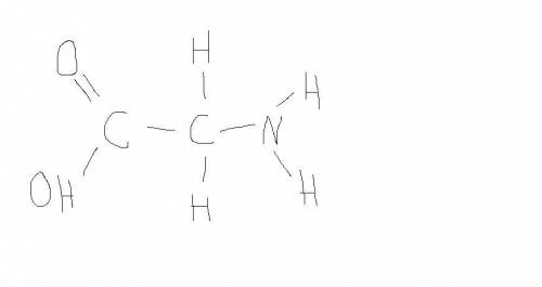 Amino acids are the building blocks of proteins. The simplest amino acid is glycine . Draw a Lewis s