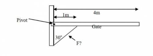 You need to repair a gate on the farm. The gate weighs 100 kg and pivots as indicated. A small diago