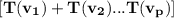 \mathbf{[T(v_1) +T(v_2) ...T(v_p)]}