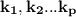 \mathbf{k_1 , k_2 ... k_p}