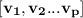 \mathbf{[v_1,v_2 ...v_p]}