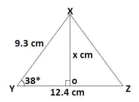 XYZ is a triangle.

XY = 9.3 cm
YZ= 12.4 cm
Angle XYZ= 38°
Work out the area of triangle XYZ.
Give y