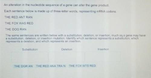 The same sentences are written with a substitution, deletion, or insertion, much as a gene may have