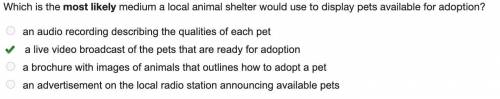 Which is the most likely medium a local animal shelter would use to display pets available for adopt