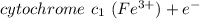 cytochrome   \ c_1  \ (Fe^{3+}) + e^-