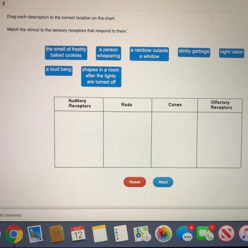 Match the stimuli to the sensory auditory receptors that respond to them