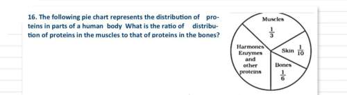 the following pie chart represents the distribution of proteins in parts of a human bod