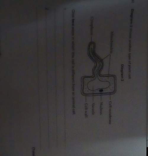 Give two ways a plant cell is different from an animal cell? ? in advance