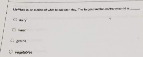 Myplate is an outline of what to eat each day, the largest section on the pyramid ie c dairy co meat