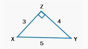 What side is opposite angle x?  xz zy yx none of above