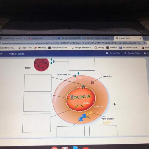 Drag each label to the correct location on the diagram. identify how a hormone molecule perfor