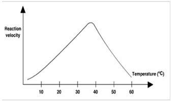 Agroup of students has performed an experiment to study the ideal temperature for the maximum activi