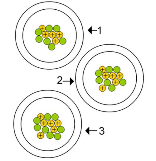 In the adjoining figure, the circles with the + sign represent protons and the empty circles represe
