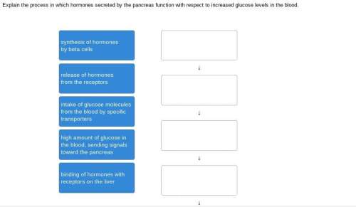 Explain the process in which hormones secreted by the pancreas function with respect to increased gl