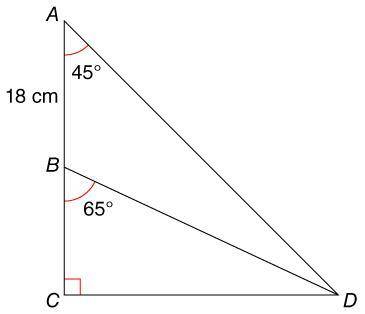 For the △ACD is shown below, select all the true statements. Lengths are rounded to the nearest tent