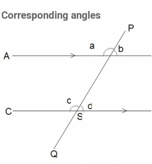 Lines L and M are parallel.

4
3
5
L
2
1/6
38° 7.
- M
Find : m24
Enter the number that
belongs in th