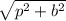\sqrt{p {}^{2} + b {}^{2}  }