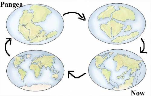 Which land feature supports the theory of continental drift?

A.canyons B.volcanoes C.coal fields D.