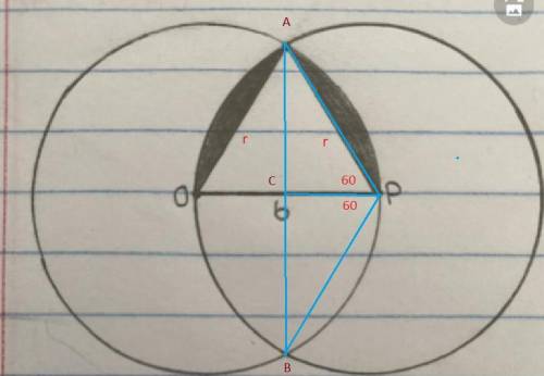 PLEASE HELP WITH GEOMETRY HOMEWORK

Information needed to solve: 
- Points O and P are the midpoints