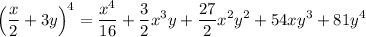 $\left(\frac{x}{2} + 3 y\right)^{4}=\frac{x^{4}}{16} + \frac{3}{2} x^{3} y + \frac{27}{2} x^{2} y^{2} + 54 x y^{3} + 81 y^{4}$