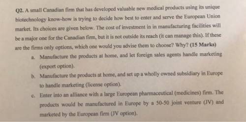 c. Enter into an alliance with a large European pharmaceutical firm. The products would be manufactu