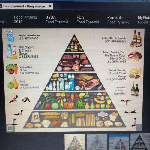 Which types of foods appear at the bottom of the food guide pyramid, indicating that you should eat 