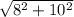 \sqrt{8^{2} + 10\\^{2}  } \\