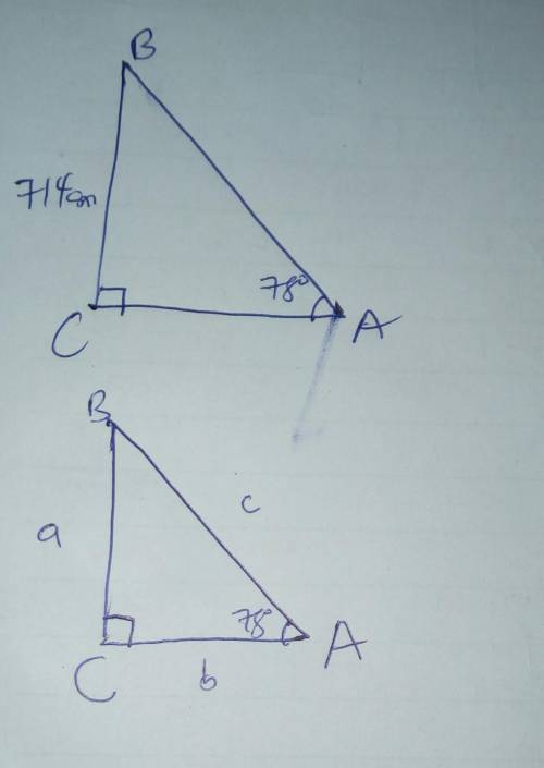 In triangle ABC, the right angle is at vertex C, a = 714 cm and the measure of angle A is 78° . To t